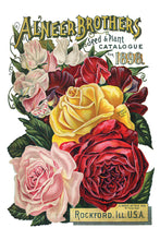 Load image into Gallery viewer, Seed Catalogue Eight-Page Decor Transfer™ In 8&quot; x 12&quot; Pad Format
