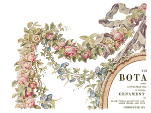 The Botanist Four-Page Decor Transfer™ In Pad Format