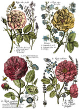Load image into Gallery viewer, A floral transfer with 4 sections of flowers
