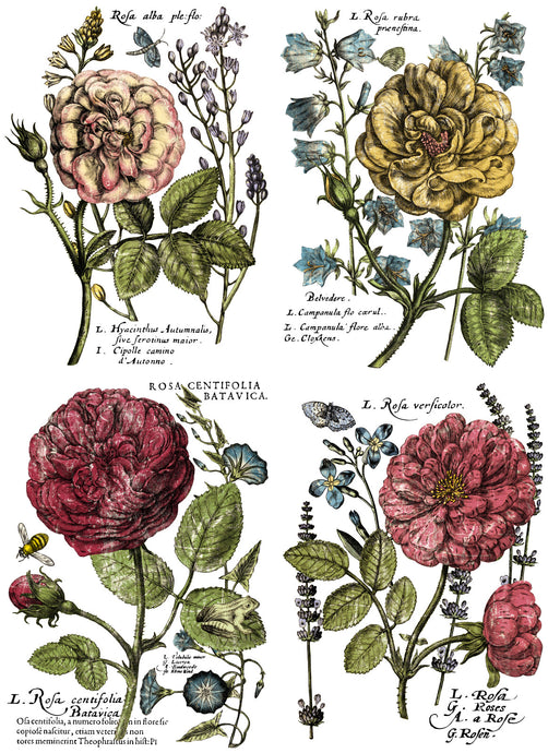 A floral transfer with 4 sections of flowers