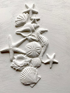 Sea Shells Mould