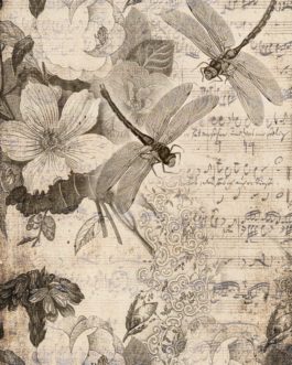 Musical Dragon Flies Decoupage Paper